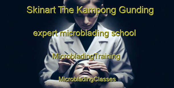 Skinart The Kampong Gunding expert microblading school | #MicrobladingTraining #MicrobladingClasses #SkinartTraining-Malaysia