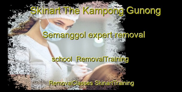 Skinart The Kampong Gunong Semanggol expert removal school | #RemovalTraining #RemovalClasses #SkinartTraining-Malaysia