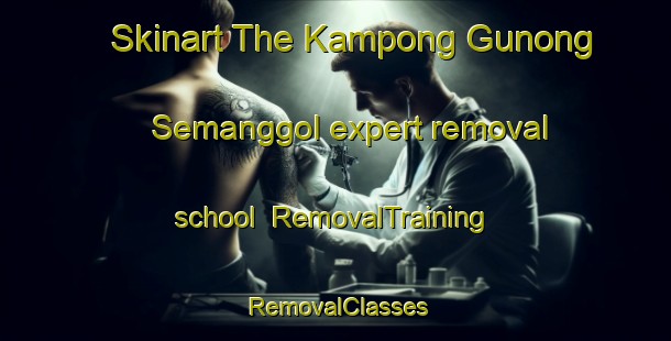 Skinart The Kampong Gunong Semanggol expert removal school | RemovalTraining | RemovalClasses | SkinartTraining-Malaysia