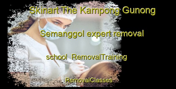Skinart The Kampong Gunong Semanggol expert removal school | RemovalTraining | RemovalClasses | SkinartTraining-Malaysia