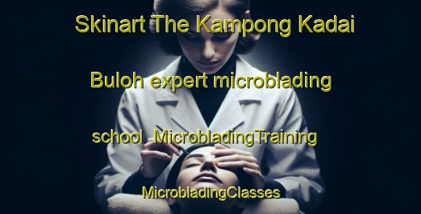 Skinart The Kampong Kadai Buloh expert microblading school | #MicrobladingTraining #MicrobladingClasses #SkinartTraining-Malaysia