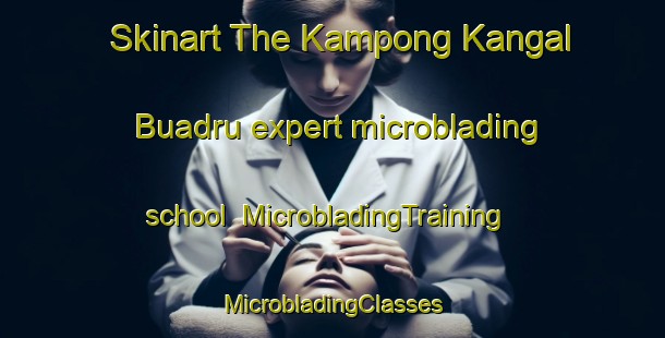 Skinart The Kampong Kangal Buadru expert microblading school | #MicrobladingTraining #MicrobladingClasses #SkinartTraining-Malaysia