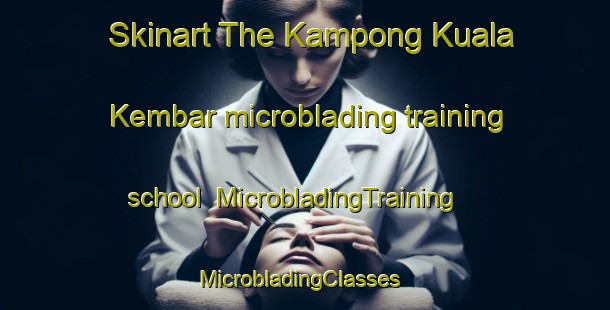 Skinart The Kampong Kuala Kembar microblading training school | MicrobladingTraining | MicrobladingClasses | SkinartTraining-Malaysia
