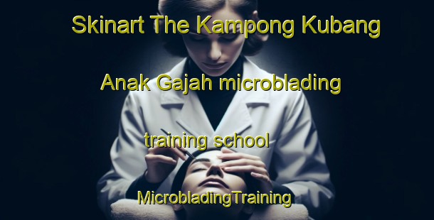 Skinart The Kampong Kubang Anak Gajah microblading training school | #MicrobladingTraining #MicrobladingClasses #SkinartTraining-Malaysia