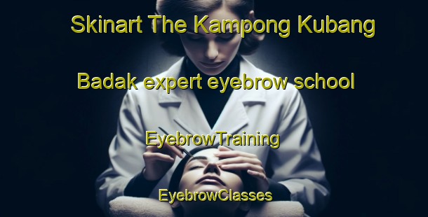 Skinart The Kampong Kubang Badak expert eyebrow school | EyebrowTraining | EyebrowClasses | SkinartTraining-Malaysia