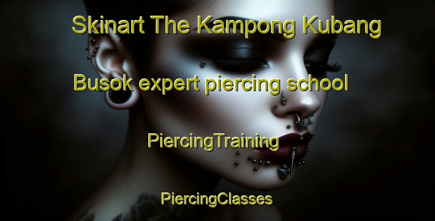 Skinart The Kampong Kubang Busok expert piercing school | #PiercingTraining #PiercingClasses #SkinartTraining-Malaysia