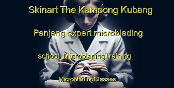 Skinart The Kampong Kubang Panjang expert microblading school | #MicrobladingTraining #MicrobladingClasses #SkinartTraining-Malaysia