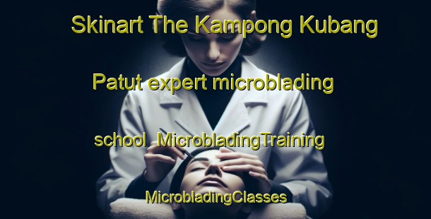 Skinart The Kampong Kubang Patut expert microblading school | #MicrobladingTraining #MicrobladingClasses #SkinartTraining-Malaysia