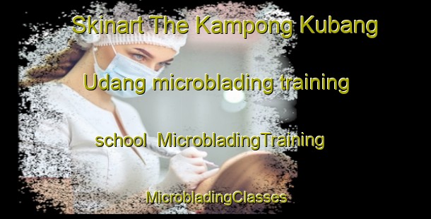 Skinart The Kampong Kubang Udang microblading training school | #MicrobladingTraining #MicrobladingClasses #SkinartTraining-Malaysia