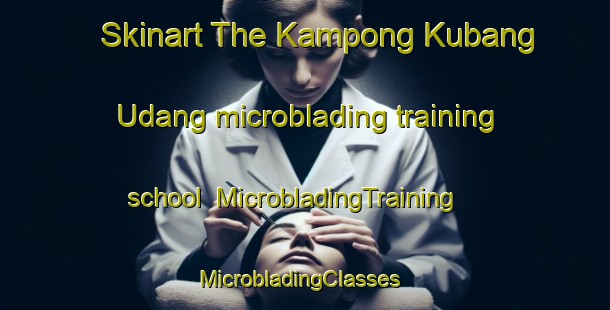 Skinart The Kampong Kubang Udang microblading training school | MicrobladingTraining | MicrobladingClasses | SkinartTraining-Malaysia