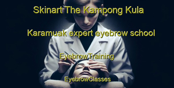 Skinart The Kampong Kula Karamuak expert eyebrow school | EyebrowTraining | EyebrowClasses | SkinartTraining-Malaysia