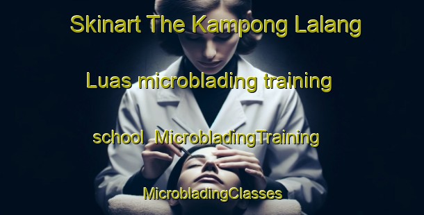 Skinart The Kampong Lalang Luas microblading training school | #MicrobladingTraining #MicrobladingClasses #SkinartTraining-Malaysia