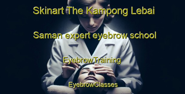 Skinart The Kampong Lebai Saman expert eyebrow school | EyebrowTraining | EyebrowClasses | SkinartTraining-Malaysia