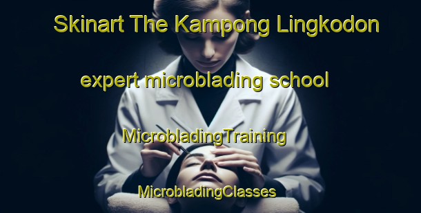 Skinart The Kampong Lingkodon expert microblading school | MicrobladingTraining | MicrobladingClasses | SkinartTraining-Malaysia