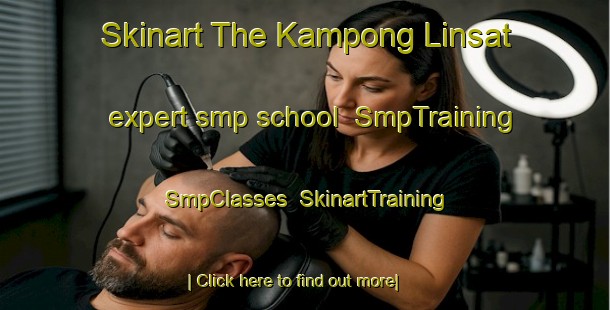 Skinart The Kampong Linsat expert smp school | SmpTraining | SmpClasses | SkinartTraining-Malaysia