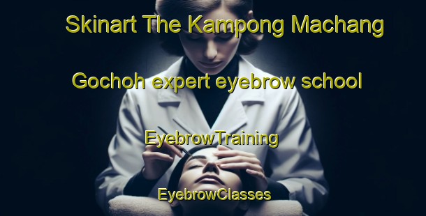 Skinart The Kampong Machang Gochoh expert eyebrow school | EyebrowTraining | EyebrowClasses | SkinartTraining-Malaysia
