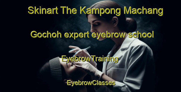 Skinart The Kampong Machang Gochoh expert eyebrow school | EyebrowTraining | EyebrowClasses | SkinartTraining-Malaysia