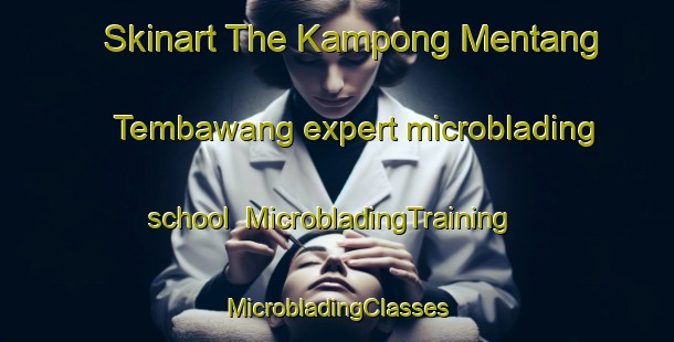 Skinart The Kampong Mentang Tembawang expert microblading school | #MicrobladingTraining #MicrobladingClasses #SkinartTraining-Malaysia