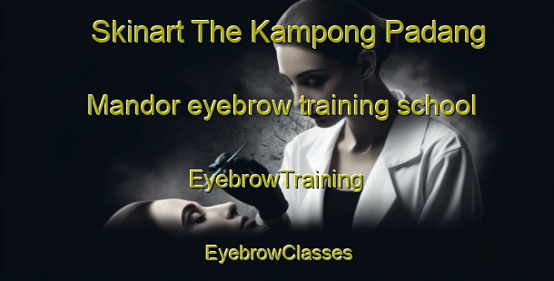 Skinart The Kampong Padang Mandor eyebrow training school | EyebrowTraining | EyebrowClasses | SkinartTraining-Malaysia
