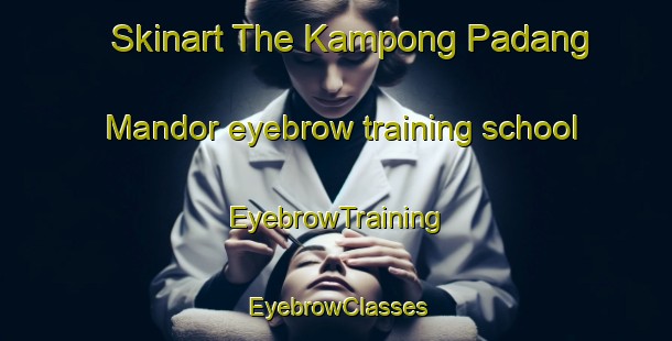 Skinart The Kampong Padang Mandor eyebrow training school | EyebrowTraining | EyebrowClasses | SkinartTraining-Malaysia