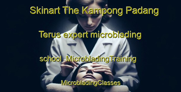 Skinart The Kampong Padang Terus expert microblading school | #MicrobladingTraining #MicrobladingClasses #SkinartTraining-Malaysia