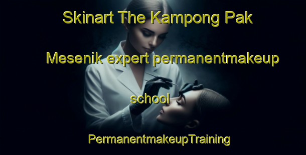 Skinart The Kampong Pak Mesenik expert permanentmakeup school | #PermanentmakeupTraining #PermanentmakeupClasses #SkinartTraining-Malaysia