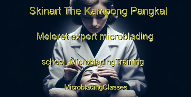 Skinart The Kampong Pangkal Meleret expert microblading school | #MicrobladingTraining #MicrobladingClasses #SkinartTraining-Malaysia