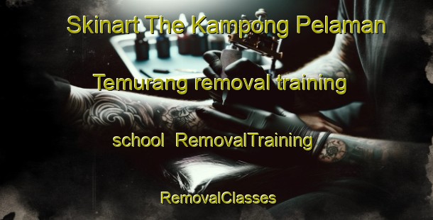 Skinart The Kampong Pelaman Temurang removal training school | RemovalTraining | RemovalClasses | SkinartTraining-Malaysia