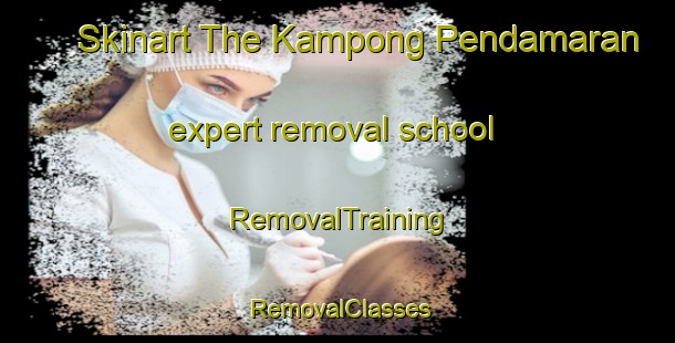 Skinart The Kampong Pendamaran expert removal school | RemovalTraining | RemovalClasses | SkinartTraining-Malaysia