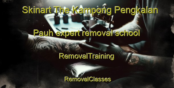 Skinart The Kampong Pengkalan Pauh expert removal school | RemovalTraining | RemovalClasses | SkinartTraining-Malaysia