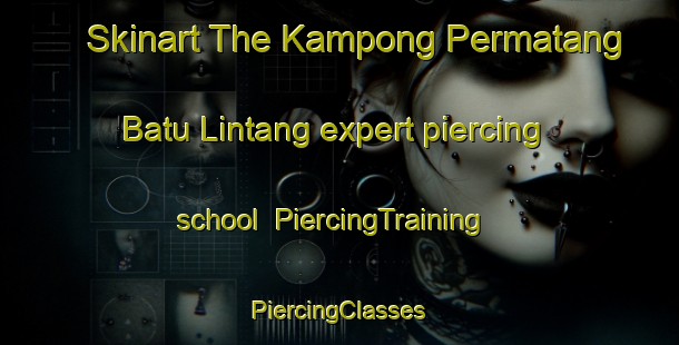 Skinart The Kampong Permatang Batu Lintang expert piercing school | #PiercingTraining #PiercingClasses #SkinartTraining-Malaysia