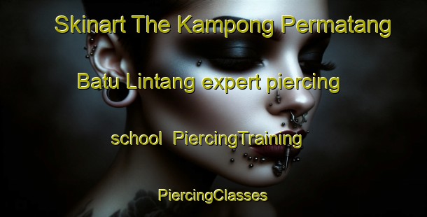 Skinart The Kampong Permatang Batu Lintang expert piercing school | #PiercingTraining #PiercingClasses #SkinartTraining-Malaysia