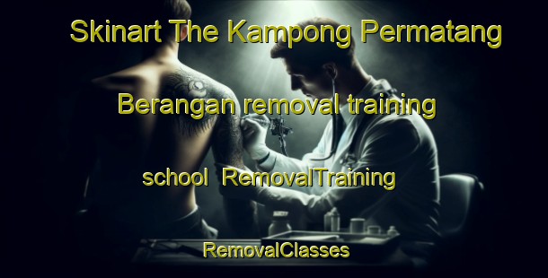 Skinart The Kampong Permatang Berangan removal training school | RemovalTraining | RemovalClasses | SkinartTraining-Malaysia