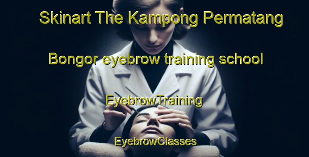 Skinart The Kampong Permatang Bongor eyebrow training school | EyebrowTraining | EyebrowClasses | SkinartTraining-Malaysia