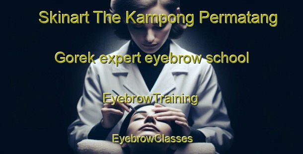 Skinart The Kampong Permatang Gorek expert eyebrow school | EyebrowTraining | EyebrowClasses | SkinartTraining-Malaysia
