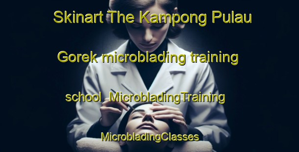 Skinart The Kampong Pulau Gorek microblading training school | #MicrobladingTraining #MicrobladingClasses #SkinartTraining-Malaysia