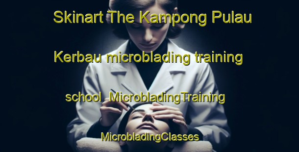 Skinart The Kampong Pulau Kerbau microblading training school | #MicrobladingTraining #MicrobladingClasses #SkinartTraining-Malaysia