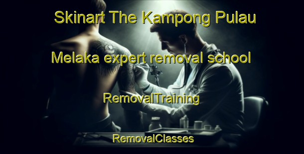 Skinart The Kampong Pulau Melaka expert removal school | RemovalTraining | RemovalClasses | SkinartTraining-Malaysia