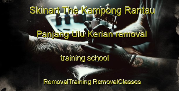 Skinart The Kampong Rantau Panjang Ulu Kerian removal training school | #RemovalTraining #RemovalClasses #SkinartTraining-Malaysia