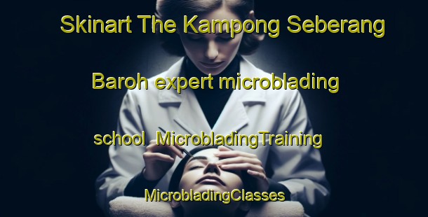 Skinart The Kampong Seberang Baroh expert microblading school | #MicrobladingTraining #MicrobladingClasses #SkinartTraining-Malaysia