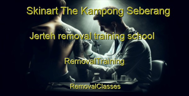 Skinart The Kampong Seberang Jerteh removal training school | RemovalTraining | RemovalClasses | SkinartTraining-Malaysia