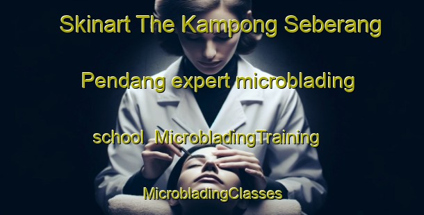 Skinart The Kampong Seberang Pendang expert microblading school | #MicrobladingTraining #MicrobladingClasses #SkinartTraining-Malaysia