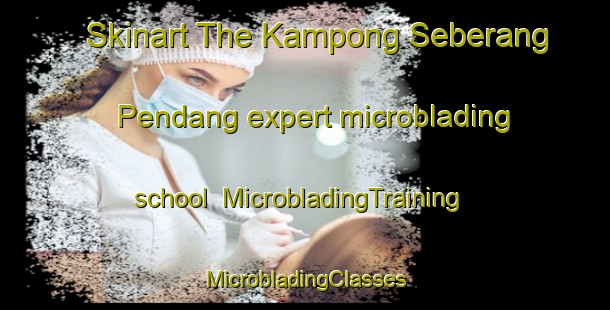 Skinart The Kampong Seberang Pendang expert microblading school | #MicrobladingTraining #MicrobladingClasses #SkinartTraining-Malaysia