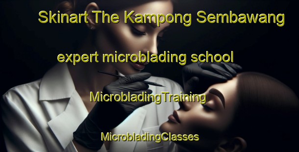 Skinart The Kampong Sembawang expert microblading school | #MicrobladingTraining #MicrobladingClasses #SkinartTraining-Malaysia