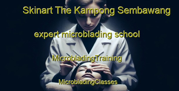 Skinart The Kampong Sembawang expert microblading school | MicrobladingTraining | MicrobladingClasses | SkinartTraining-Malaysia