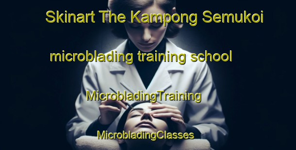 Skinart The Kampong Semukoi microblading training school | MicrobladingTraining | MicrobladingClasses | SkinartTraining-Malaysia