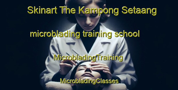 Skinart The Kampong Setaang microblading training school | #MicrobladingTraining #MicrobladingClasses #SkinartTraining-Malaysia