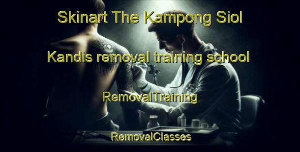 Skinart The Kampong Siol Kandis removal training school | RemovalTraining | RemovalClasses | SkinartTraining-Malaysia