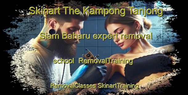 Skinart The Kampong Tanjong Siam Baharu expert removal school | #RemovalTraining #RemovalClasses #SkinartTraining-Malaysia