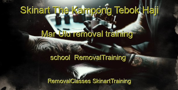 Skinart The Kampong Tebok Haji Mar Ulu removal training school | #RemovalTraining #RemovalClasses #SkinartTraining-Malaysia